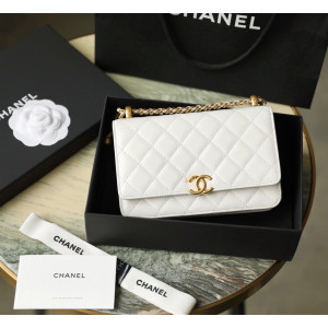 샤넬 플랩 WOC백 (하이엔드급)