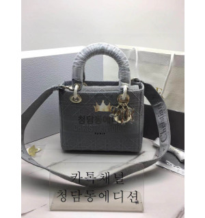 디올 레이디백 패브릭