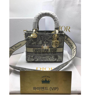 디올 레이디 D LITE 백 미디움