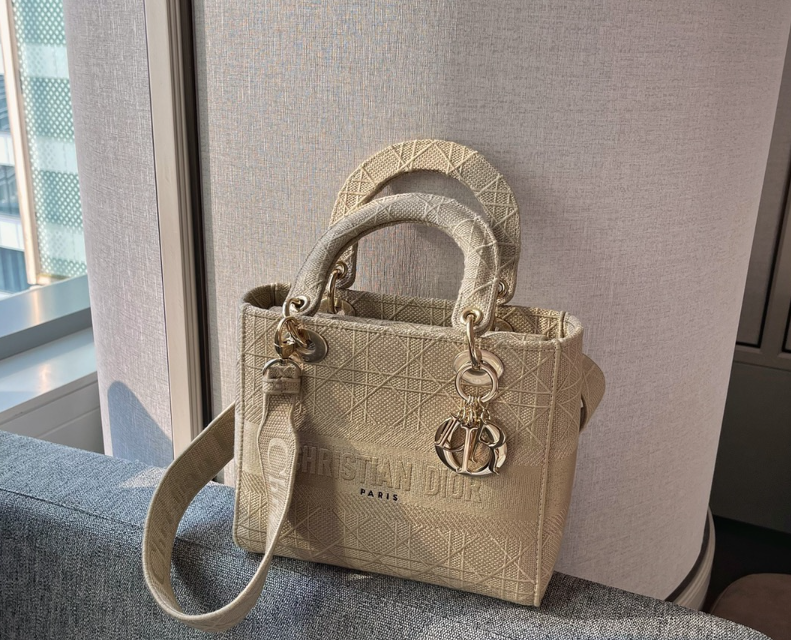 디올 레이디 D LITE 백 미디움