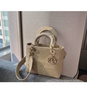 디올 레이디 D LITE 백 미디움