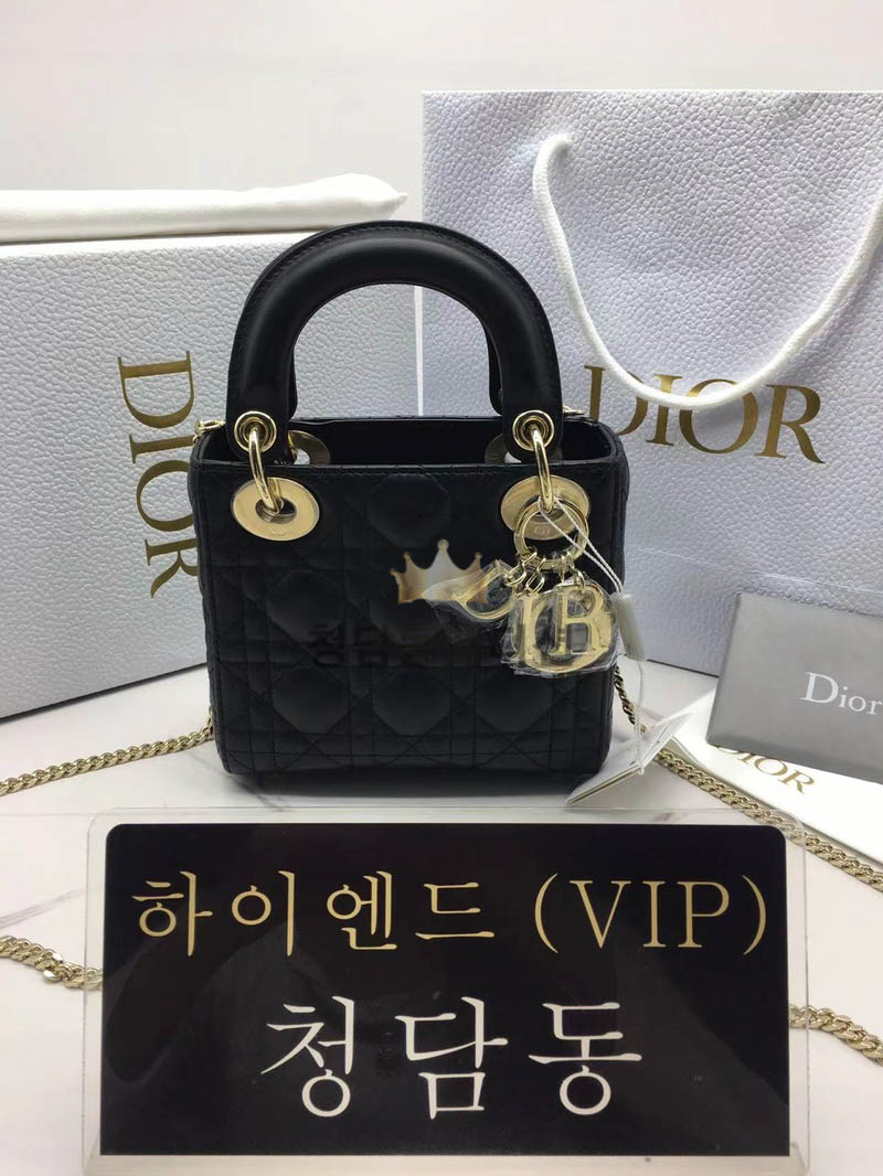 디올 레이디백 미니 (램스킨)