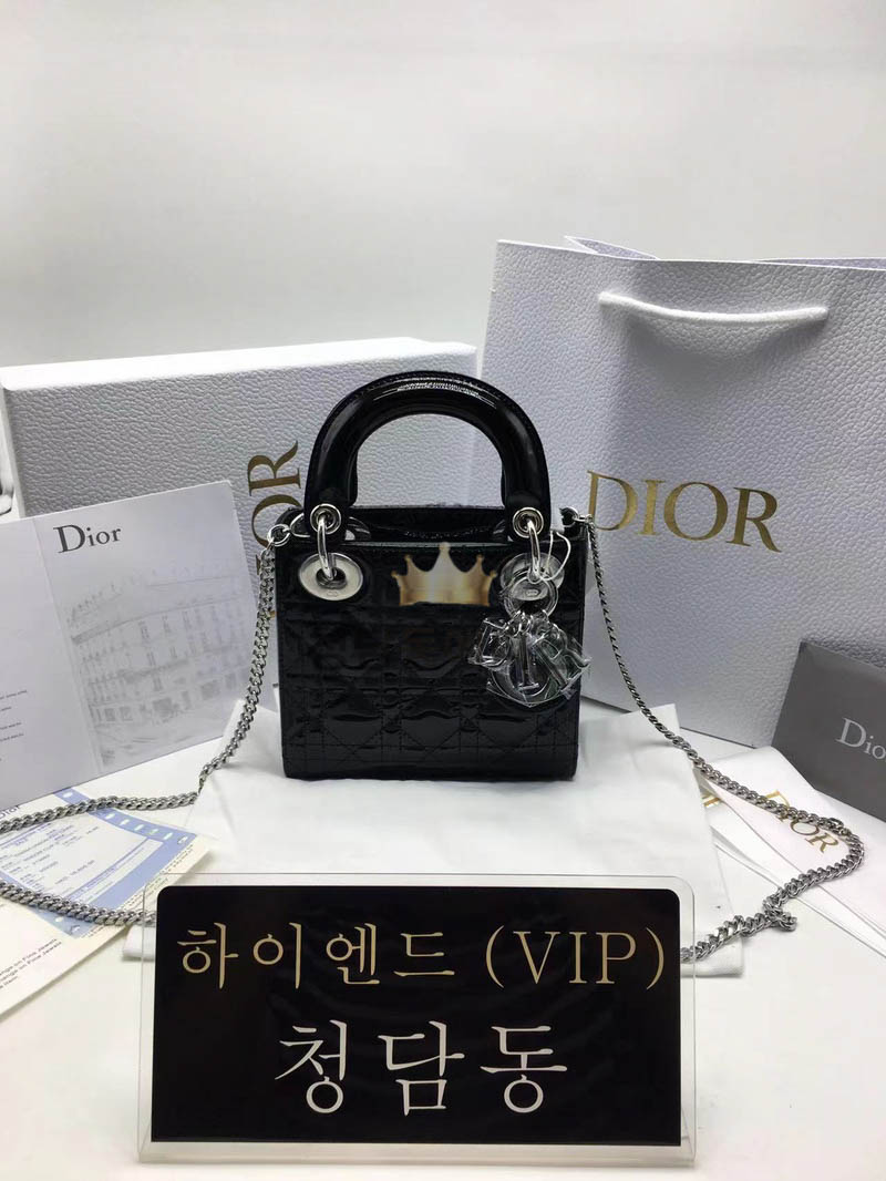 디올 레이디백 미니 (카프스킨)