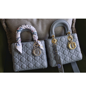 디올 레이디백 스몰 (램스킨) (upgrade ver.)