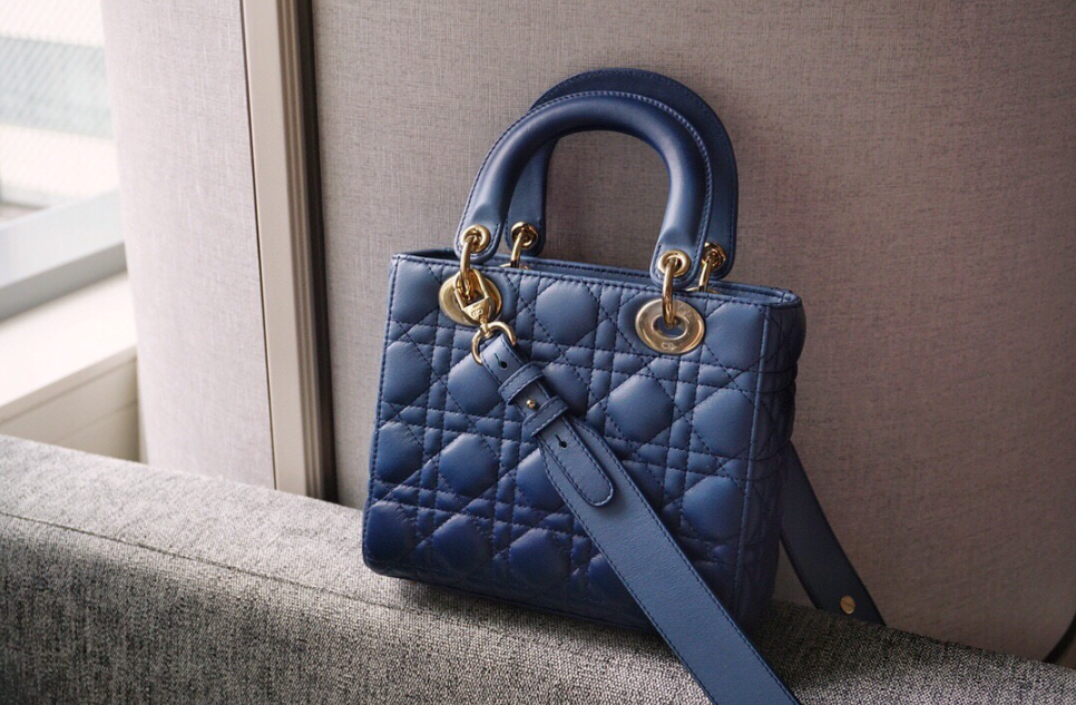 디올 레이디백 스몰 (램스킨) (upgrade ver.)