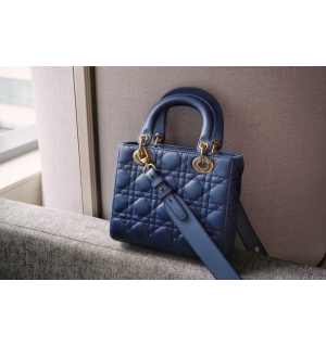 디올 레이디백 스몰 (램스킨) (upgrade ver.)