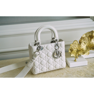 디올 레이디백 스몰 (램스킨) (upgrade ver.)