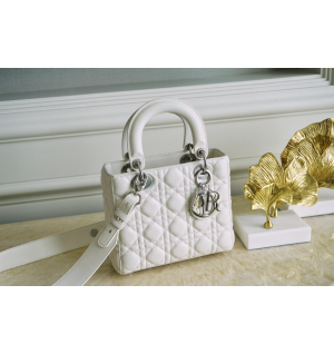 디올 레이디백 스몰 (램스킨) (upgrade ver.)