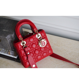 디올 레이디백 스몰 (램스킨) (upgrade ver.)