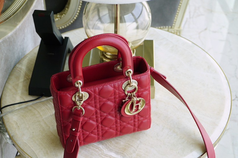 디올 레이디백 스몰 (램스킨) (upgrade ver.)