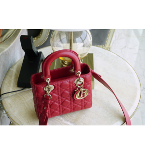 디올 레이디백 스몰 (램스킨) (upgrade ver.)