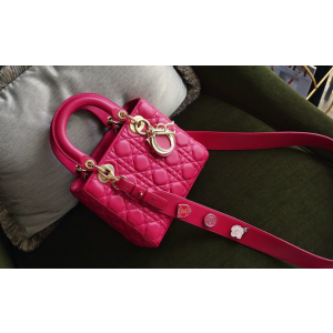 디올 레이디백 스몰 (램스킨) (upgrade ver.)