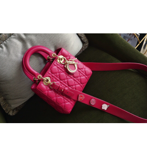 디올 레이디백 스몰 (램스킨) (upgrade ver.)