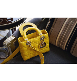 디올 레이디백 스몰 (램스킨) (upgrade ver.)