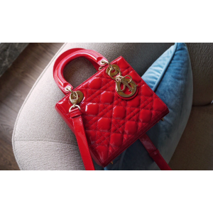 디올 레이디백 스몰 (카프스킨) (upgrade ver.)