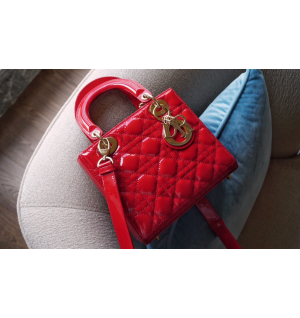 디올 레이디백 스몰 (카프스킨) (upgrade ver.)