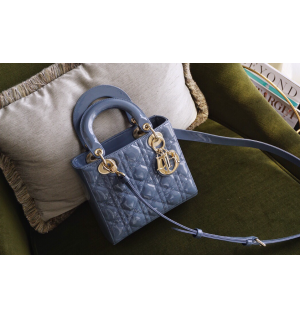 디올 레이디백 스몰 (카프스킨) (upgrade ver.)