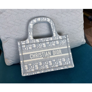 디올 북토트백 미니