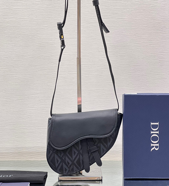 디올 새들백 미니