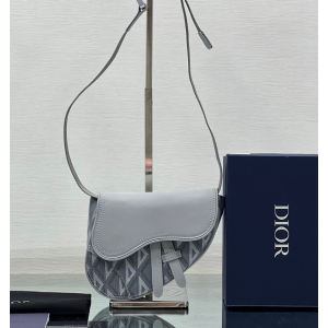 디올 새들백 미니