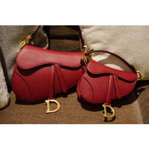 디올 새들백 미니 / 미디움
