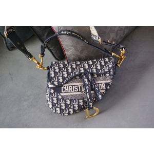 디올 오블리크 새들백