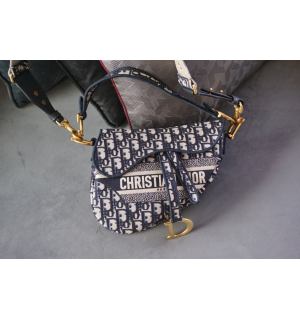 디올 오블리크 새들백