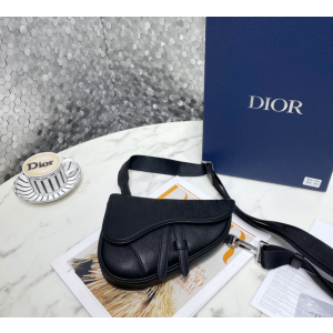 디올 갤럭시 새들백 미니