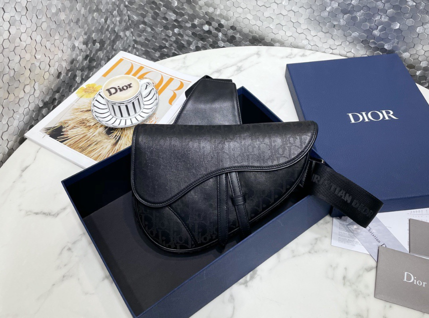 디올 갤럭시 새들백 스몰