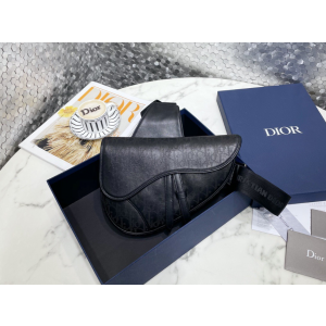 디올 갤럭시 새들백 스몰