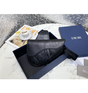 디올 갤럭시 새들백 스몰