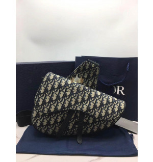 디올 오블리크 새들백 스몰