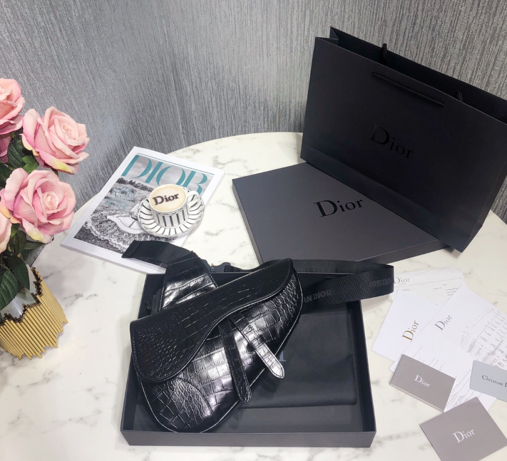 디올 크로커다일 새들백 스몰