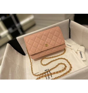 샤넬 클래식 WOC 체인 윌릿