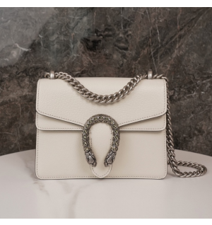 구찌 디오니서스 미니백