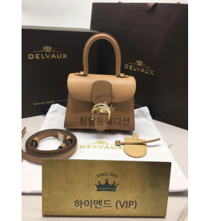 델보 브리앙 미니/PM (금장/은장) (컬러 비죵)