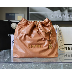 샤넬 22백 미디움 (upgrade ver.) 