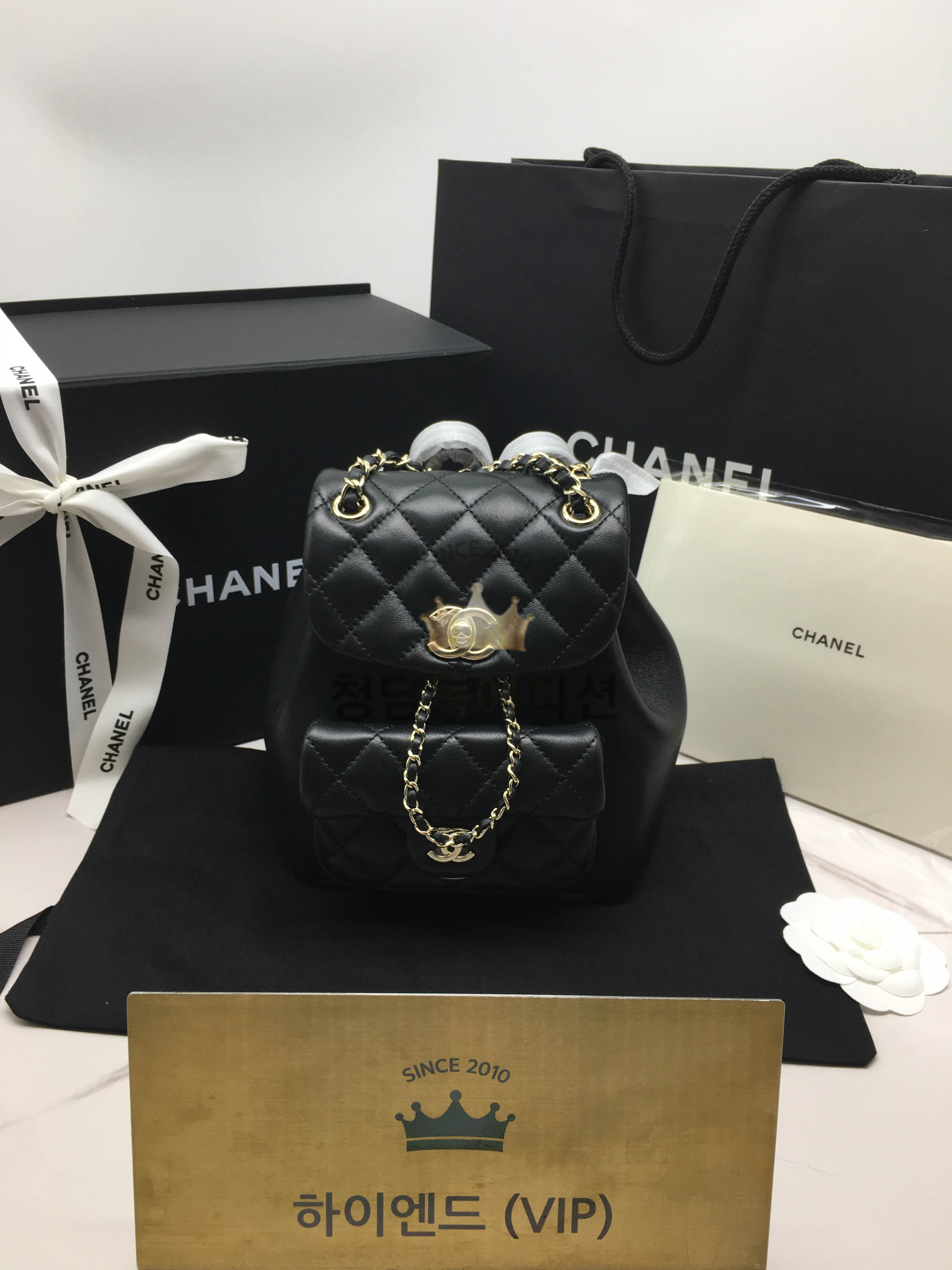 샤넬 22A 듀마 백팩 스몰 램스킨