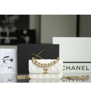 샤넬 22K CC더블 체인 WOC (하이엔드급)