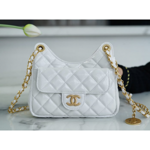 샤넬 23C 포켓 체인 호보백 스몰