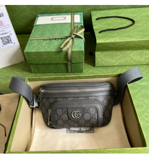 구찌 GG 오피디아 벨트백 733868