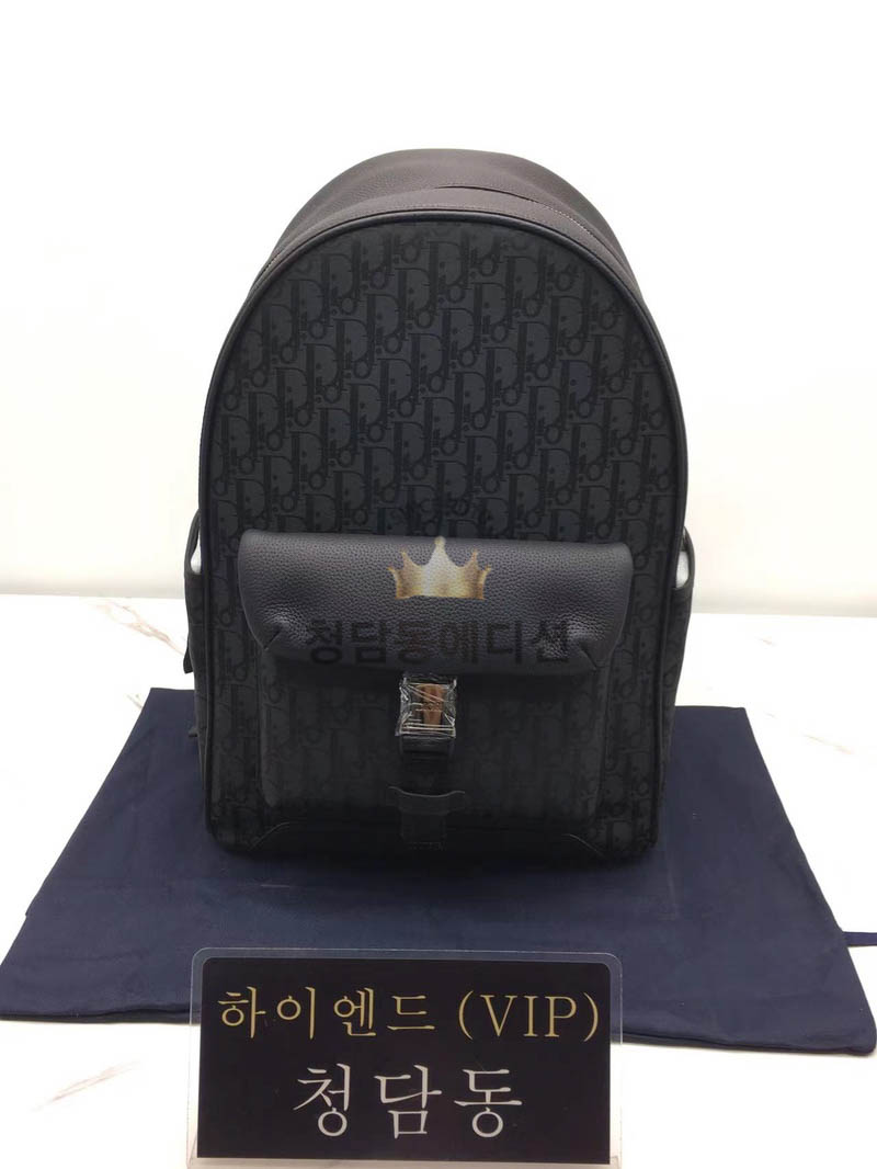 디올 오블리크 CD 백팩