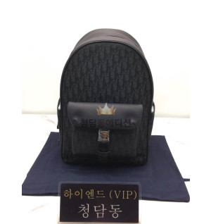 디올 오블리크 CD 백팩