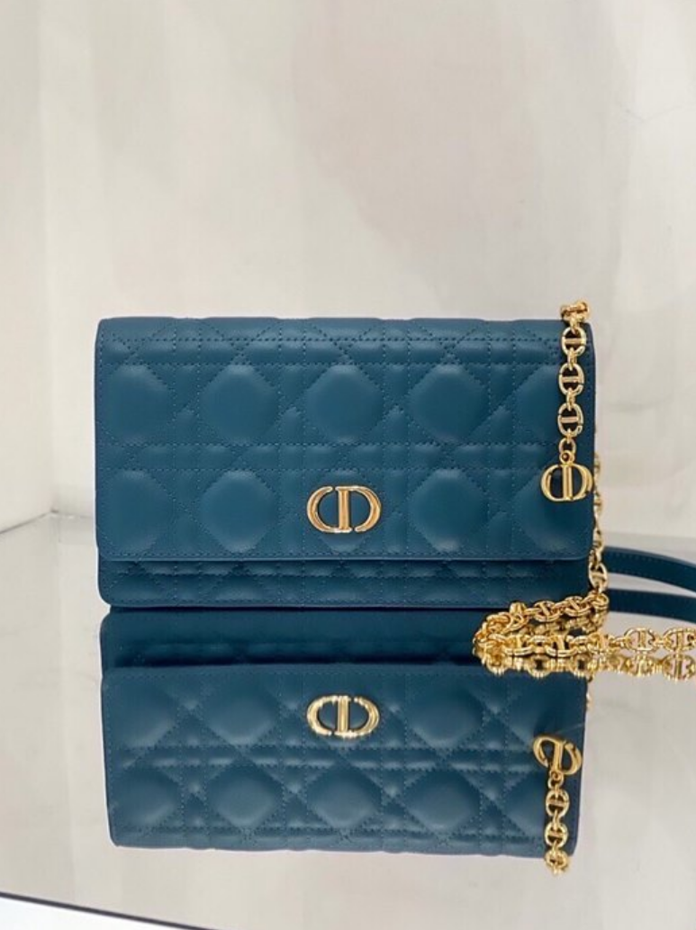 디올 카로 WOC 벨트 파우치