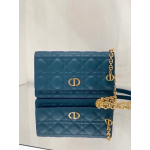 디올 카로 WOC 벨트 파우치