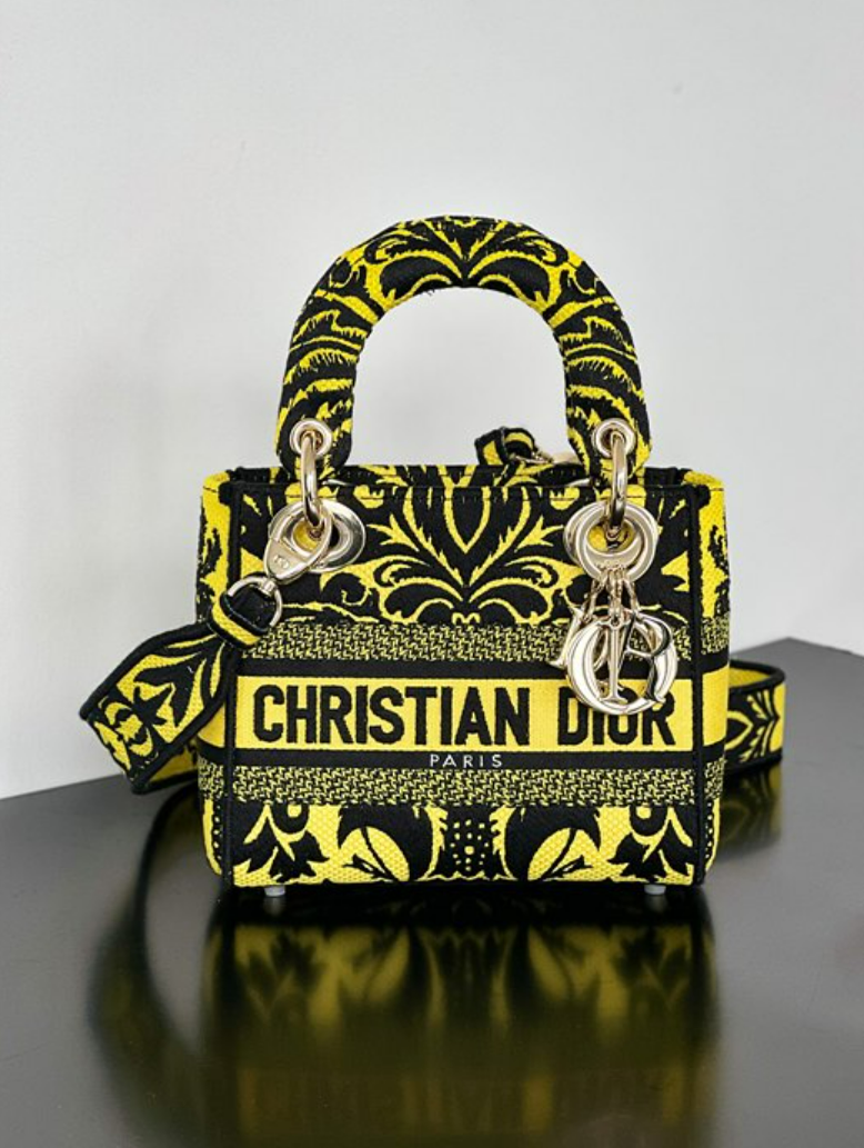 디올 레이디 D-Lite 미니 백