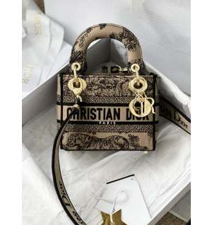 디올 레이디 D-Lite 미니 백