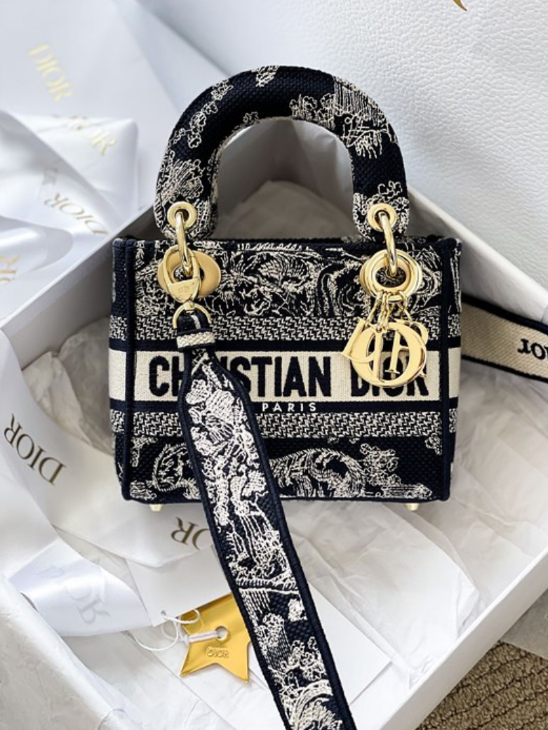 디올 레이디 D-Lite 미니 백