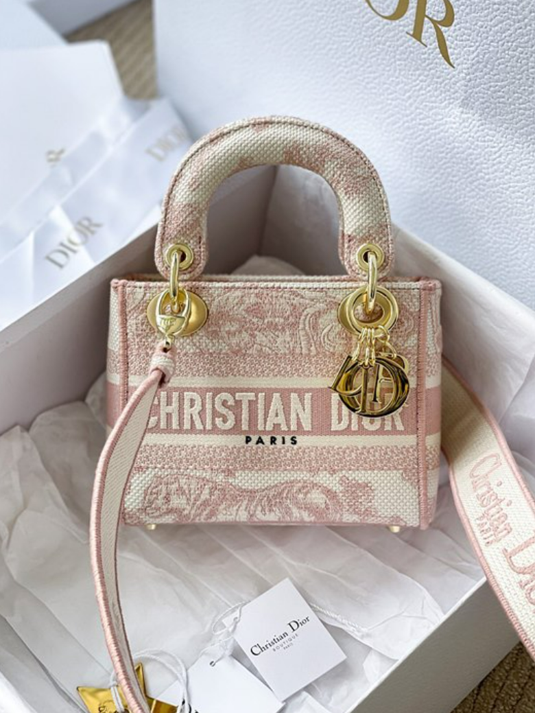 디올 레이디 D-Lite 미니 백