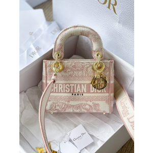 디올 레이디 D-Lite 미니 백